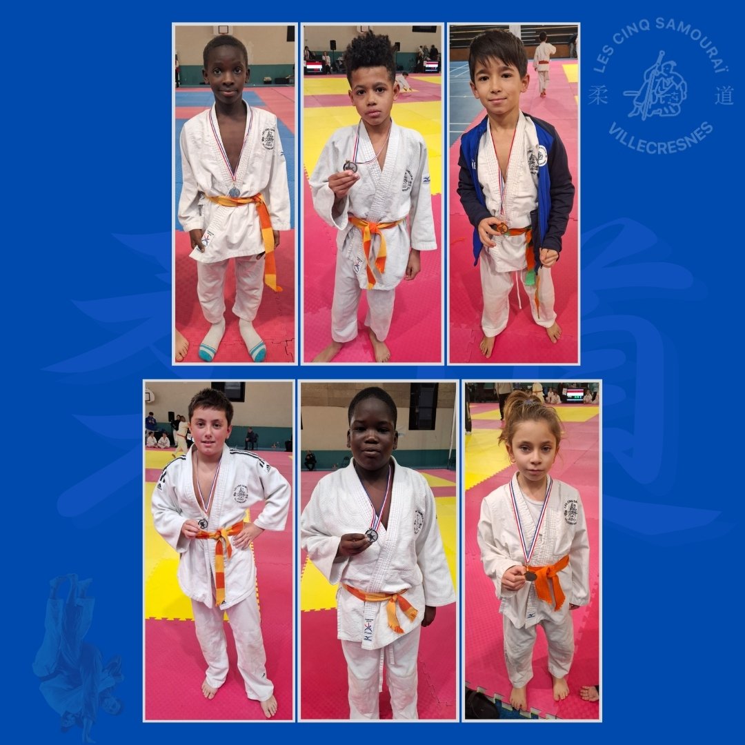 Compétitions judo district Val-de-Marne novembre 2024